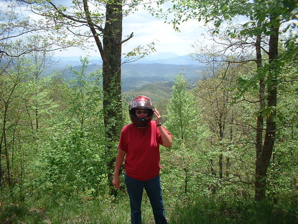me in shady valley